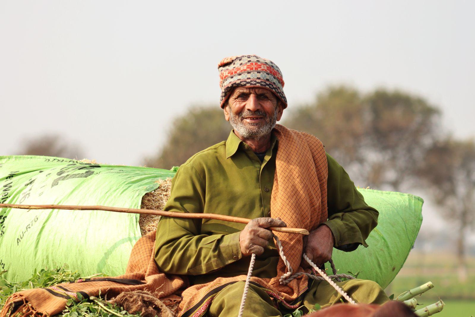 Punjab ka kisan bail gaadi par, jo har saal aap ki dukaan se khad aur dawai leta hai